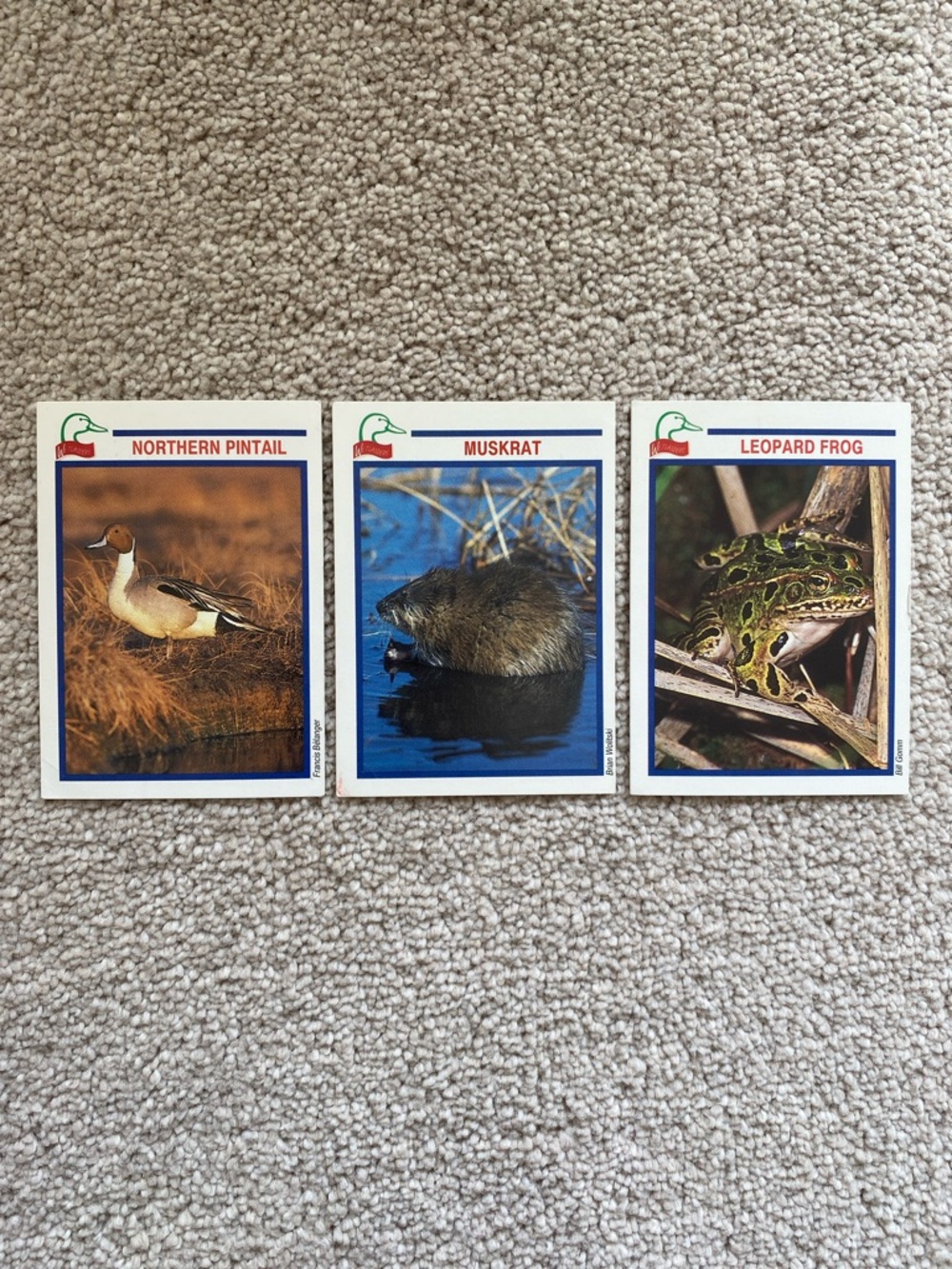 Vintage 1993 Ducks Unlimited Canada Wetlands Animal Cards
